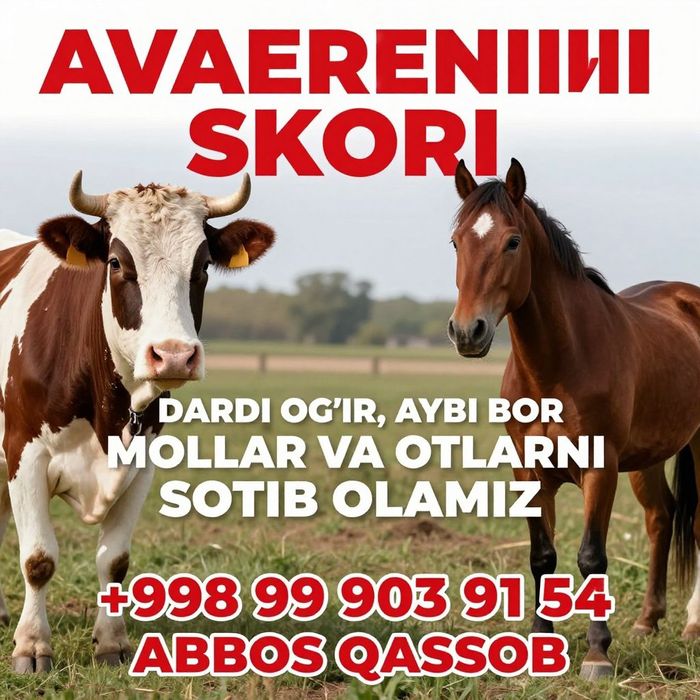 Qassob hizmatlari