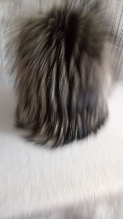 Продам шапку песец