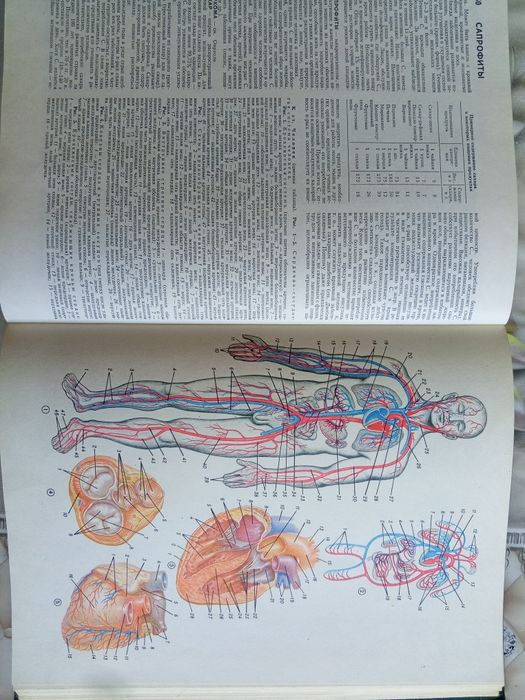 Медицинская энциклопедия