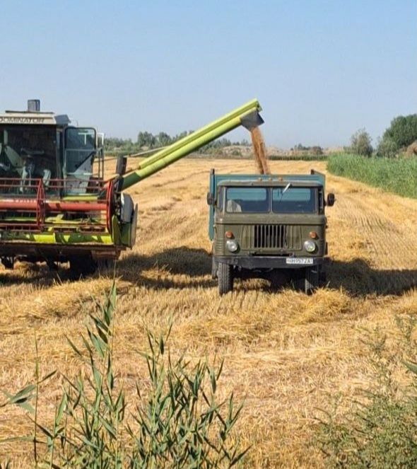 Gaz 66 sotiladi manzil xonqa