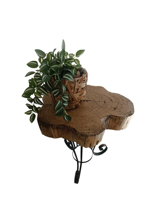 Noptiera de lux Lemn Salcam Imbatranit si baza Fier forjat