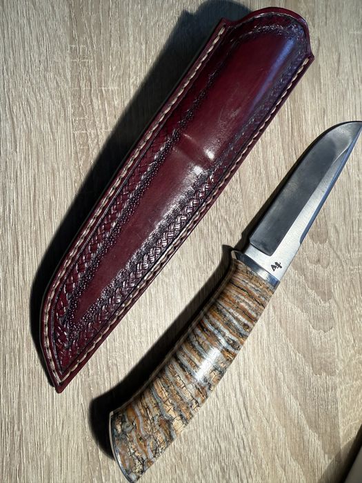 Cutit molar fosilizat 6000+