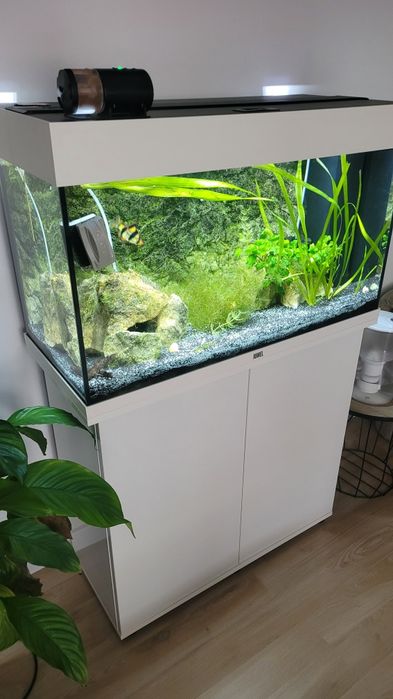 Acvariu Juwel  complet echipat 125L +plante , pietre etc
