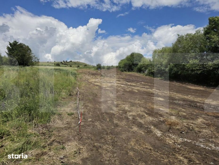 Teren 2700 mp in Rediu – oportunitate excelenta pentru investitie sa