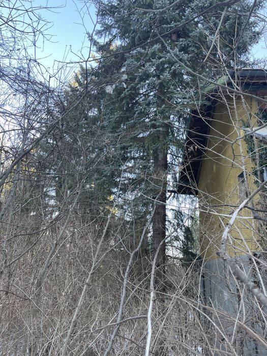 Бартер имот на морето/Автомобил.Уникална природа с Къща с декар двор