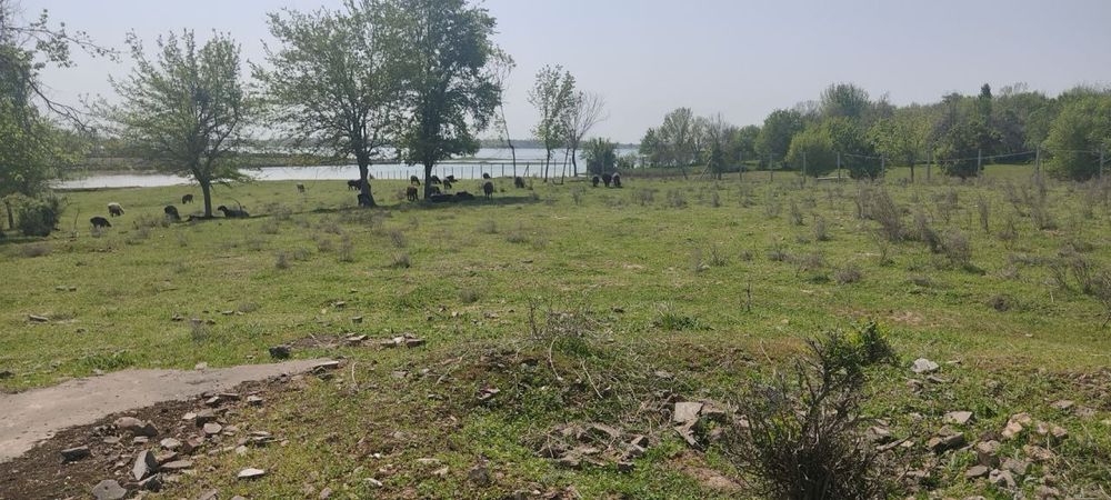 Продается земля 8.2 гектара Таш Море