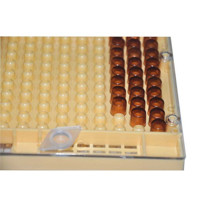 Set Nicot pentru crestere matci  (apicultura; stupi; albine)