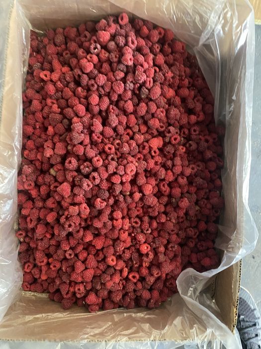 Ягода замороженная