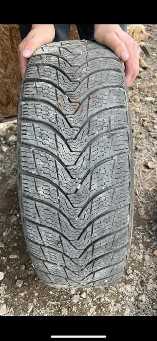 Шины с диками в отличном состояний