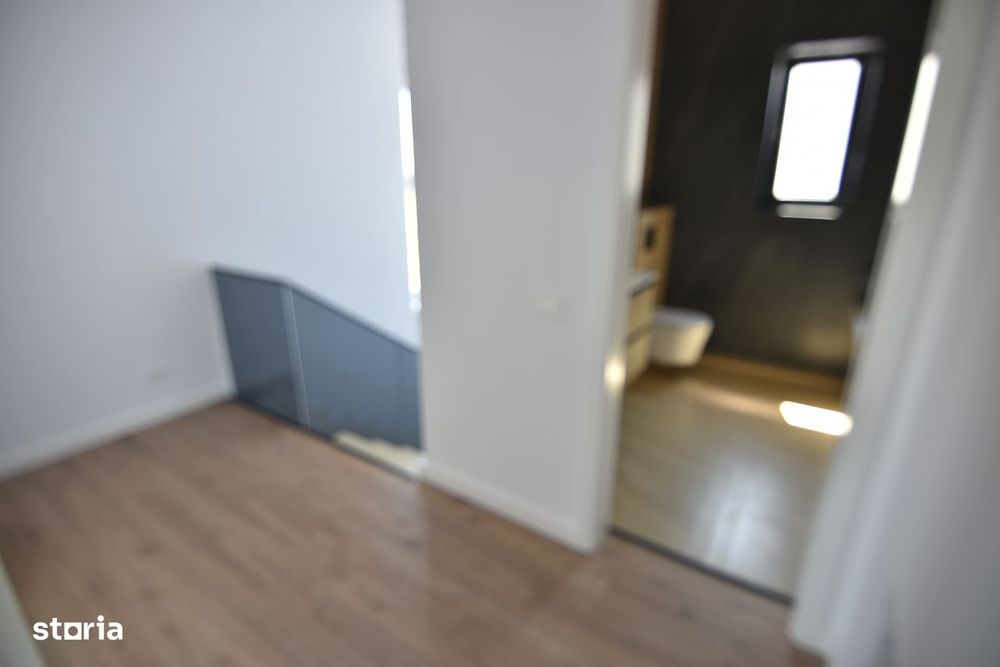 Casa / Vila P+1, 4 camere,  Domnesti