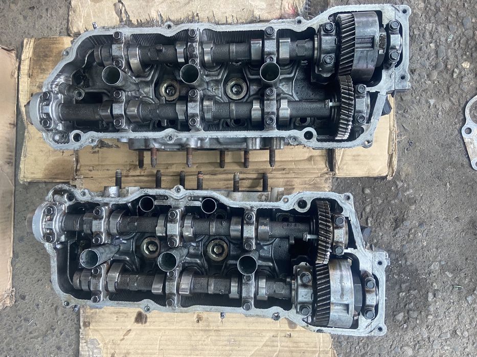 Галовка камри