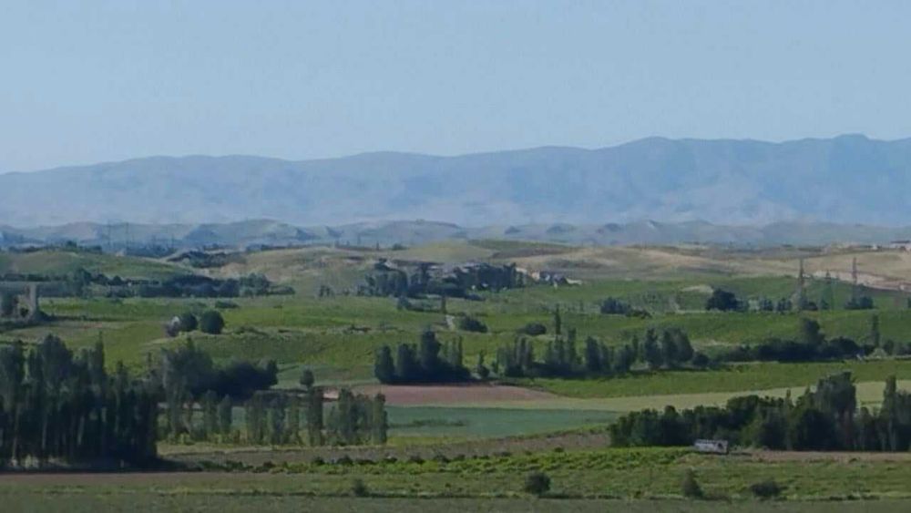 Продам Готовый Бизнес  Зона Отдыха на 1 гектаре.Паркент рн