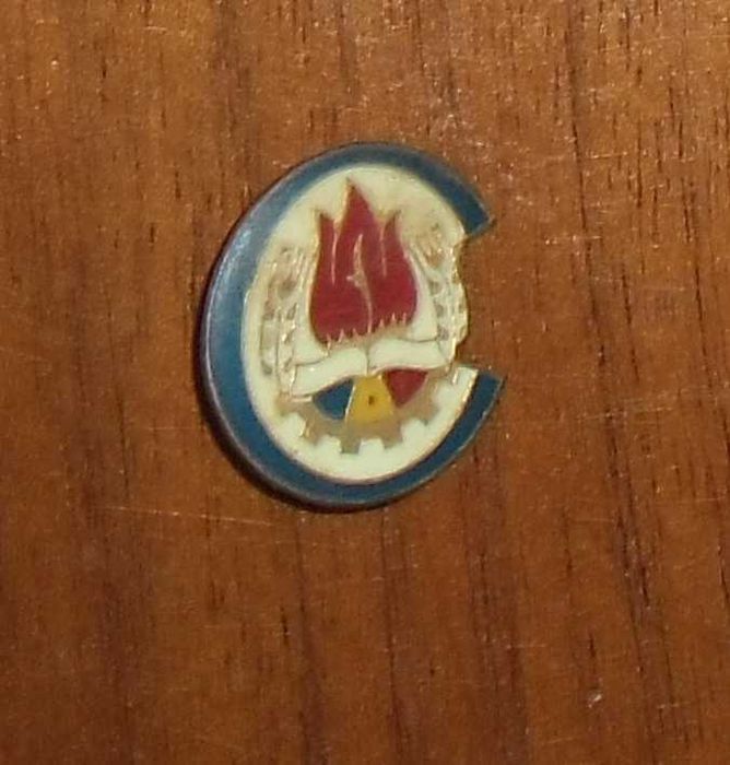 Lot două insigne purtate cândva de pionieri