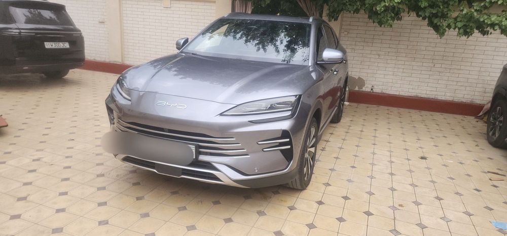 Byd Chimpion gibrid sotiladi 150 tali