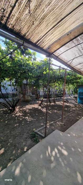Casa cu 3 camere, anexe, curte si gradina