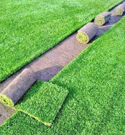 Gazonul Rulou Premium - Perfect pentru Casa Ta!