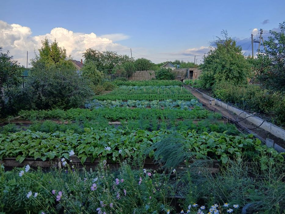 Продам дачу в черте города