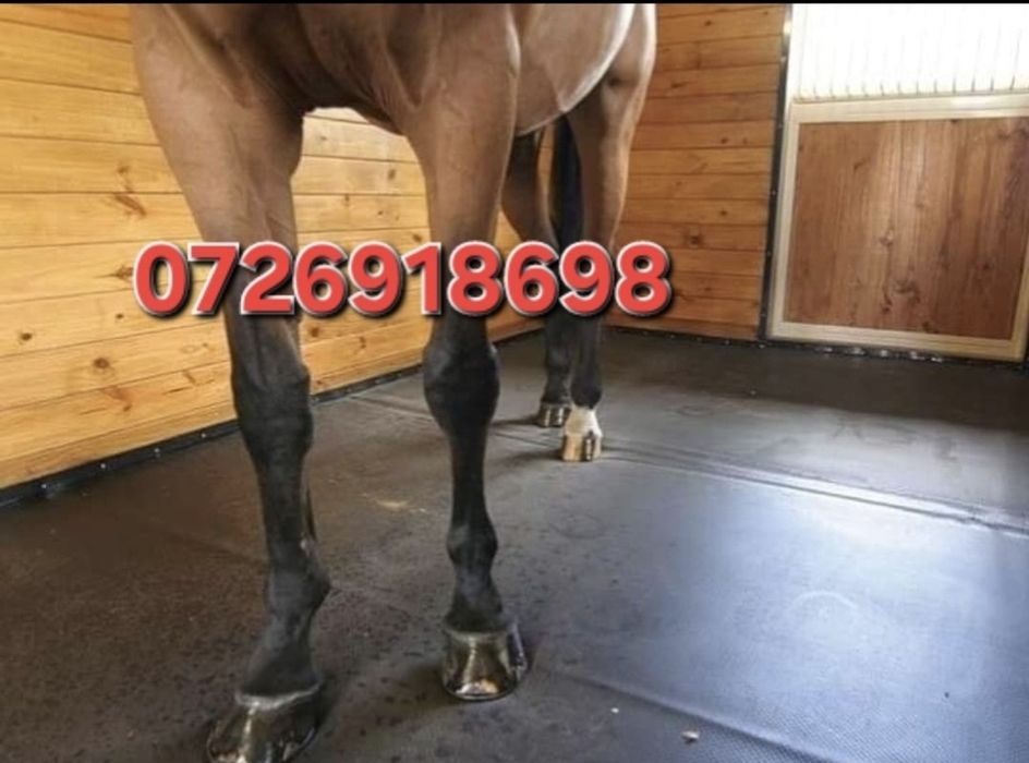 Vând banda de cauciuc pres pentru animale