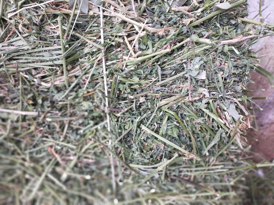 Жоңышқа пресс сатылады