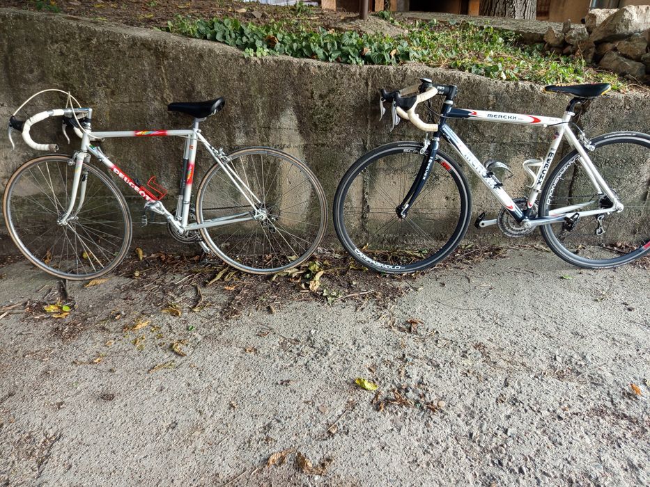 Велосипеди готови за употреба монтаж Campagnolo