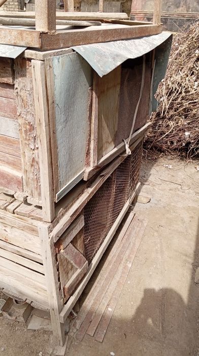 Quyon kataklari sotiladi