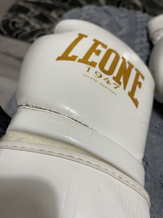 Manusi box leone