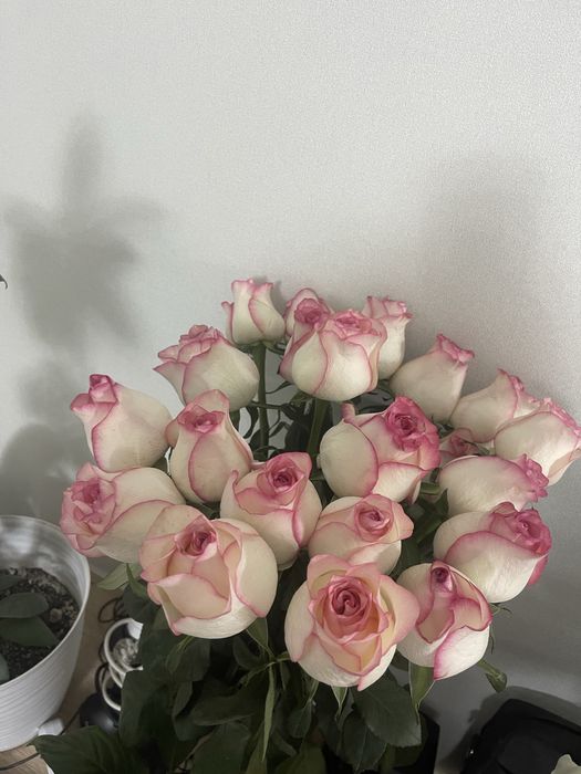 21 роза 80 см цена 8000