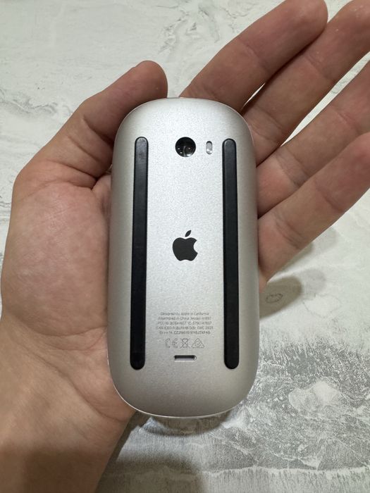 Apple magic mouse 2