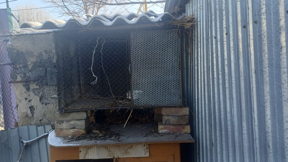 Продам добротный кролятник