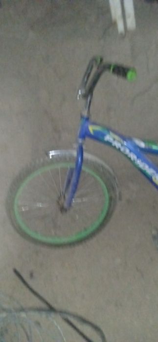 Velosepet 20balon
