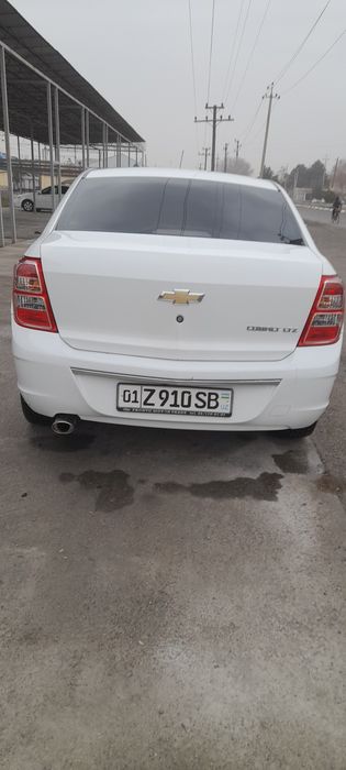 coblat 2022 yil sotiladi l