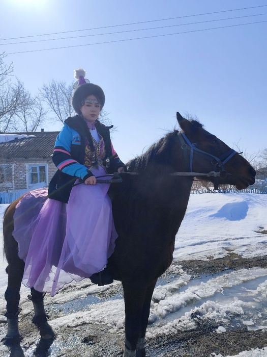Жеребец гнидой ,4 года