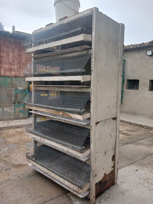 Брудер сатылады .