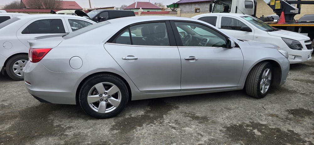 Malubu 2podissa luki bor