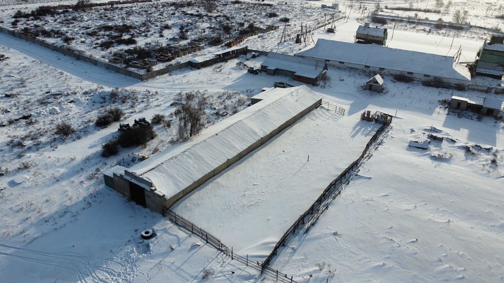 продам фермерское хозяйство