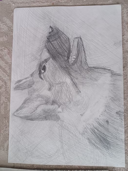 Продам рисунки а3!