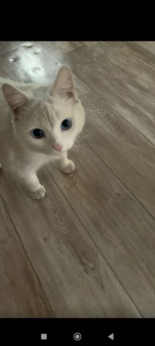 Внимание!!! Розыск.