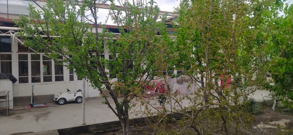 Поворот 5-соток.Срочно продаётся дом.