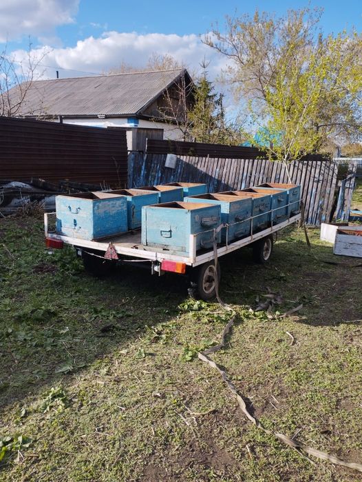 Прицеп с ульями для легкового автомобиля