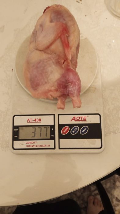 Продам мясо перепела.