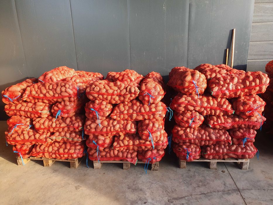 Cartofi consum Carrera