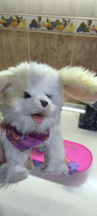 Собачка на скейте с пультом управления.