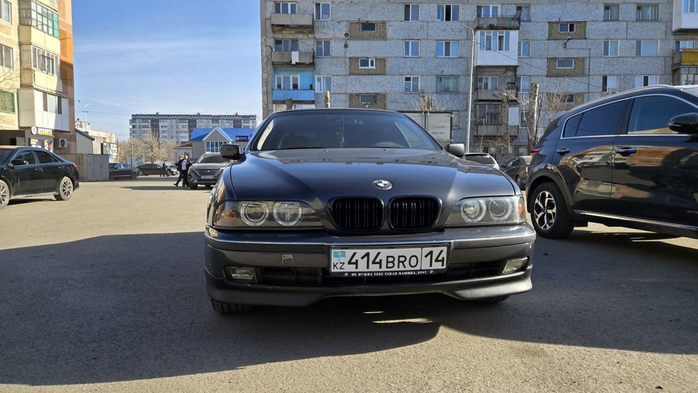 Продам BMW E39, поросёнок