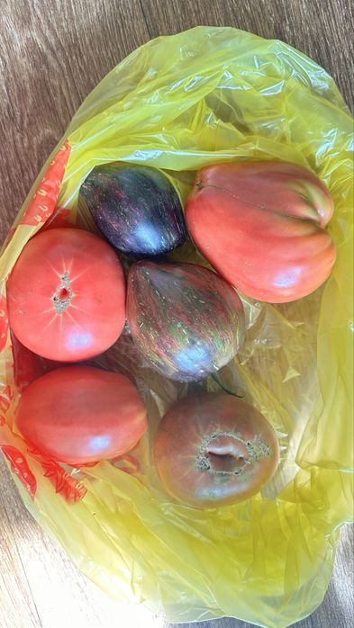 Продам крупные домашние помидоры