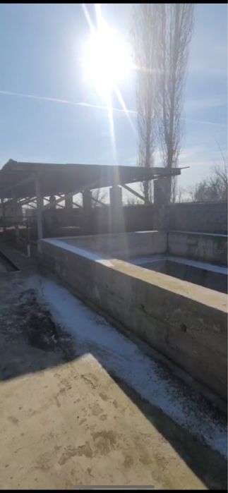 Uy Quyichirchiq Mingchinor