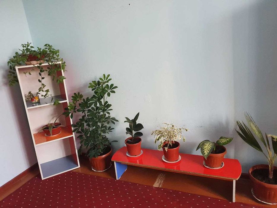 mebel detskiy | tayyor biznes | bogcha uchun kamplekt mebel