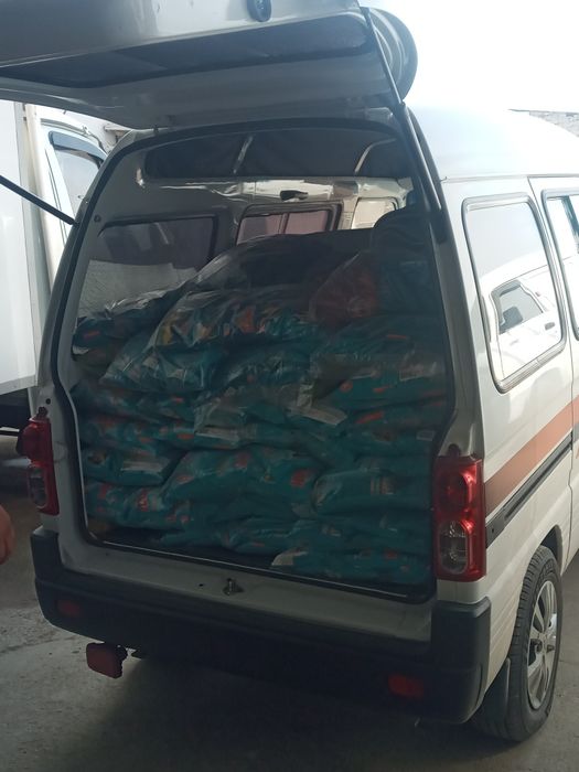 пассажирские и грузовые перевозки