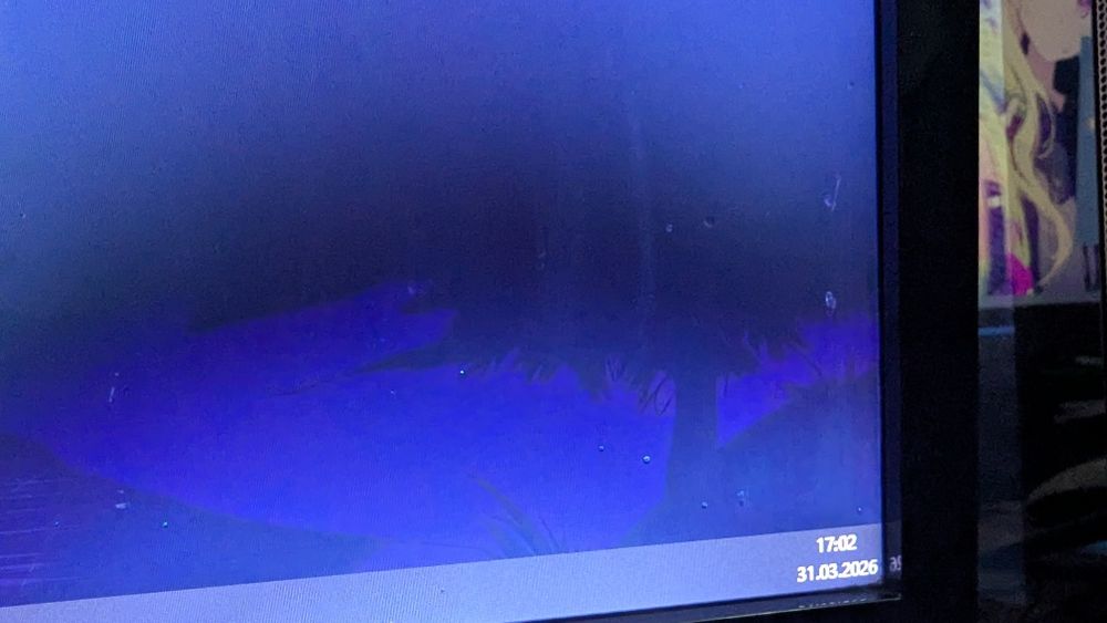 Монитор packard bell