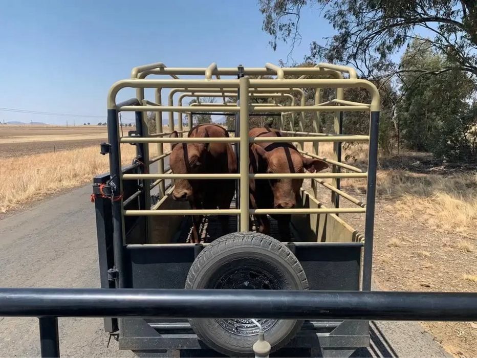Коневоз / скотовоз