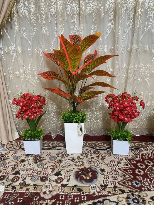 Suniy gullar katta hajimda